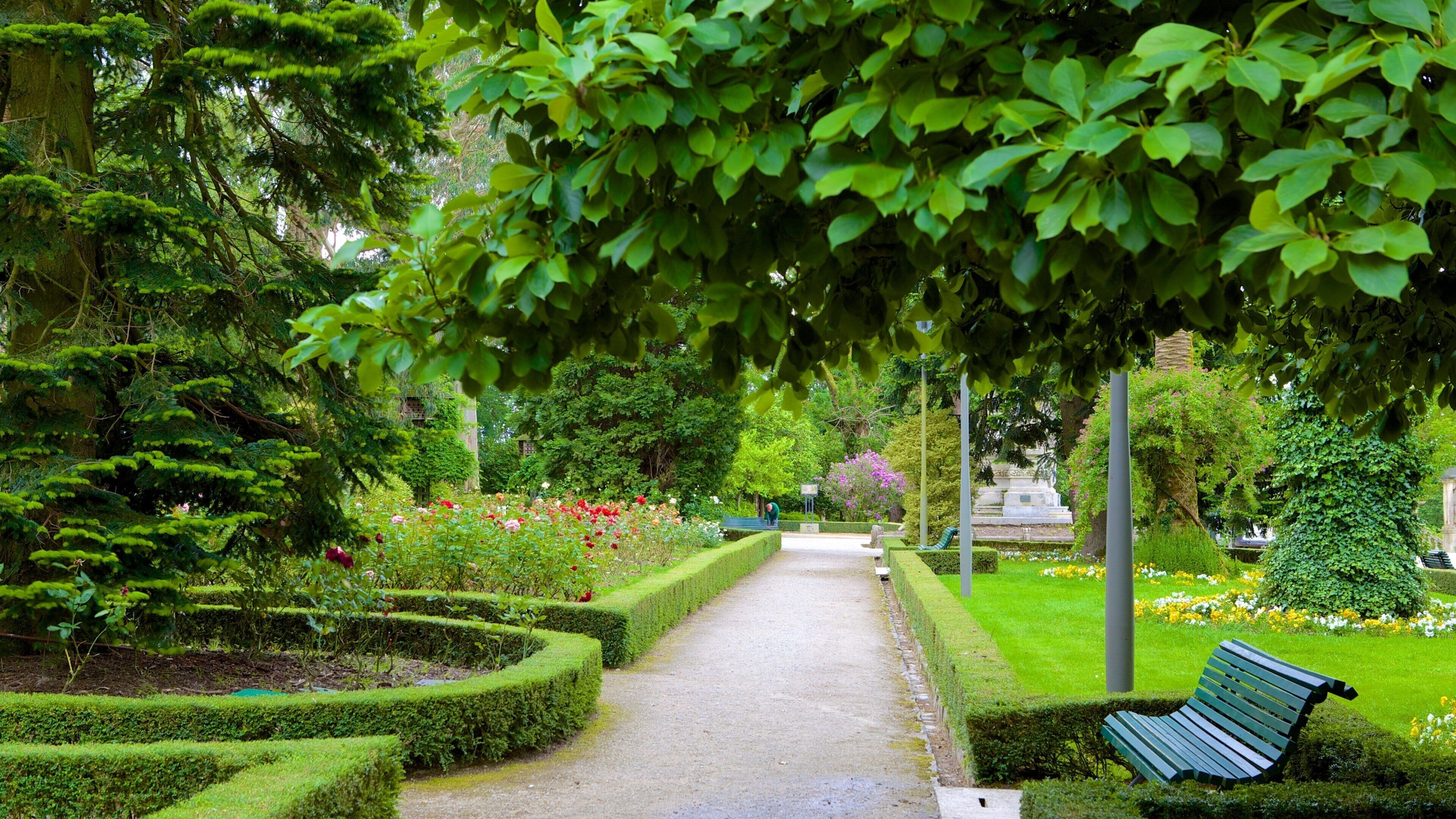 Alameda Park showing a garden