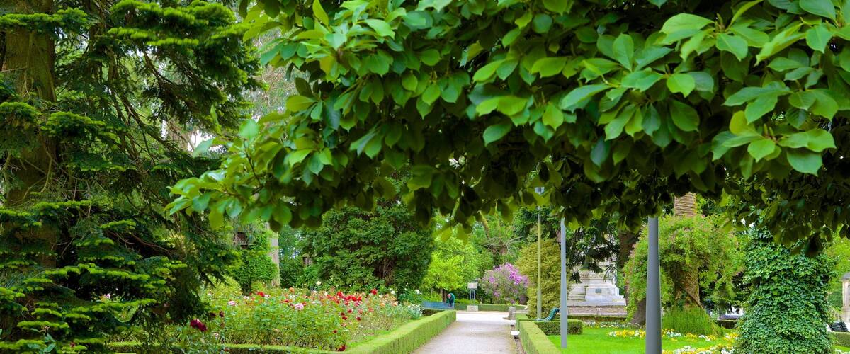 Alameda Park showing a garden
