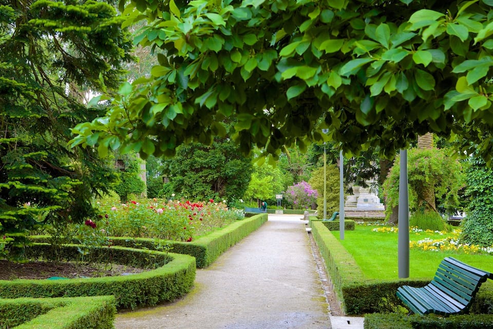 A garden with a paved walkway, neatly trimmed hedges, and a bench.