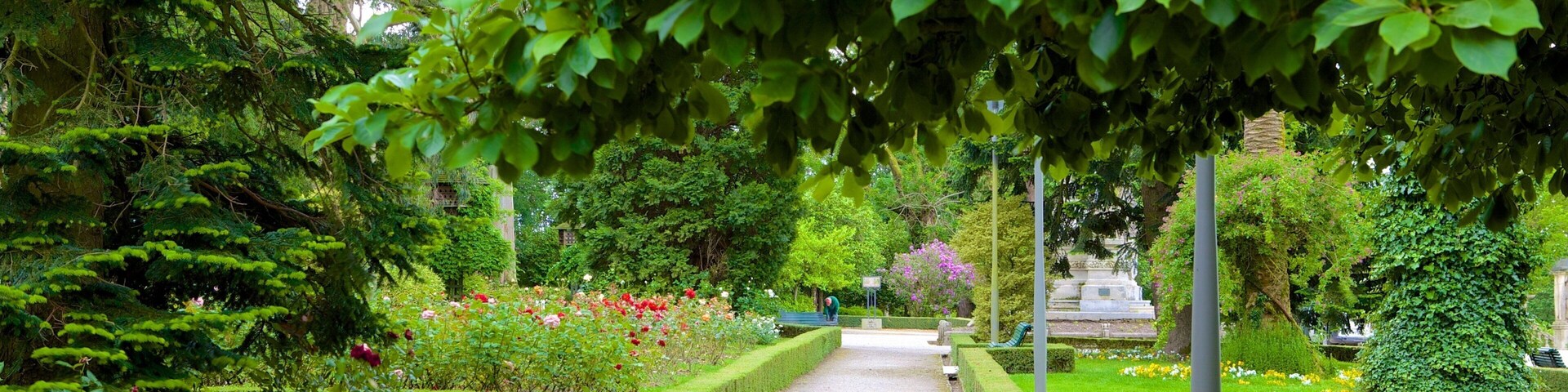Alameda Park showing a garden