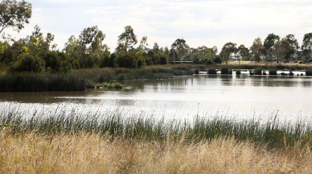 Wetlands in South East suburbs of Melbourne, Victoria, Australia showing trees, gardens, lake