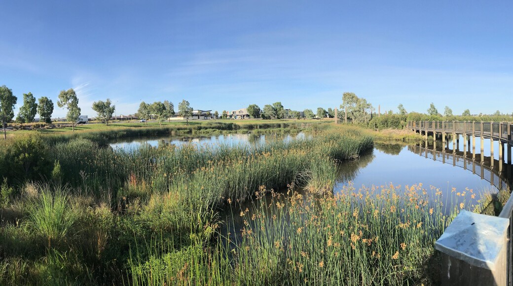 Wetlands and houses in the suburb of Clyde in Victoria Australia.