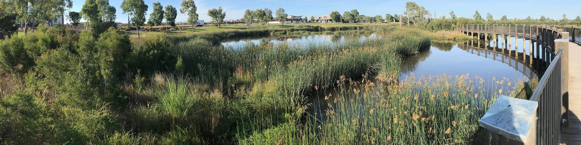 Wetlands and houses in the suburb of Clyde in Victoria Australia.