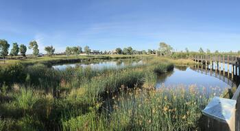 Pakenham
