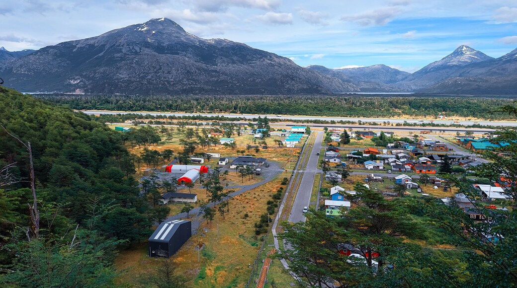 奥伊金斯将军解放者大区