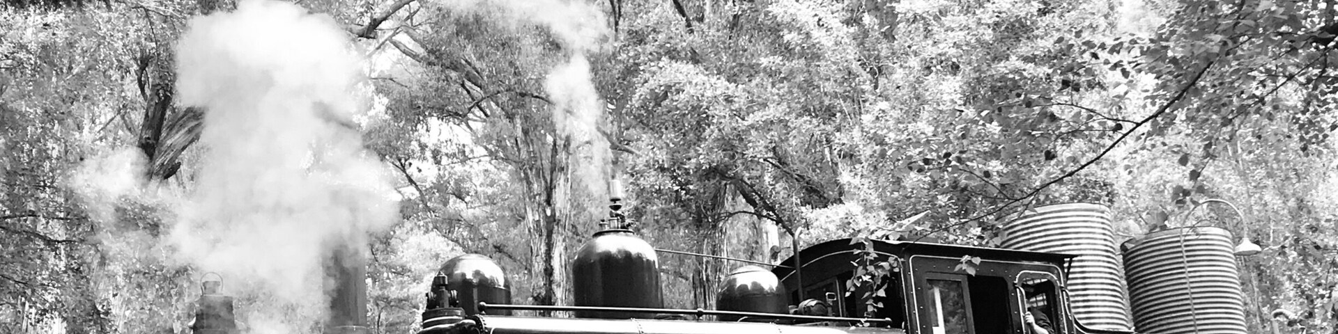 A steam locomotive with the number 7A on a railway track surrounded by trees.