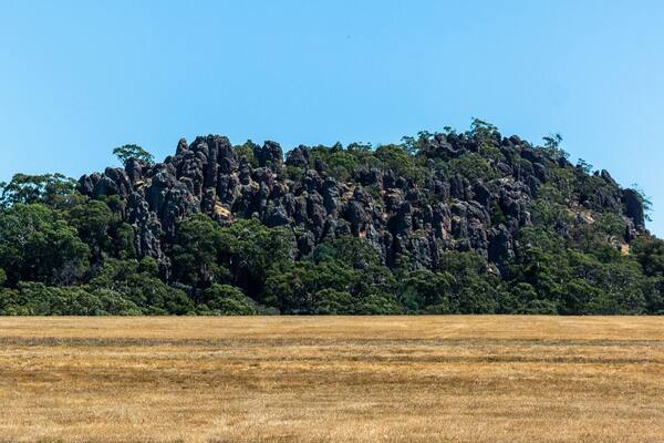 A large hill with dense forest and a dry grass field in the foreground.