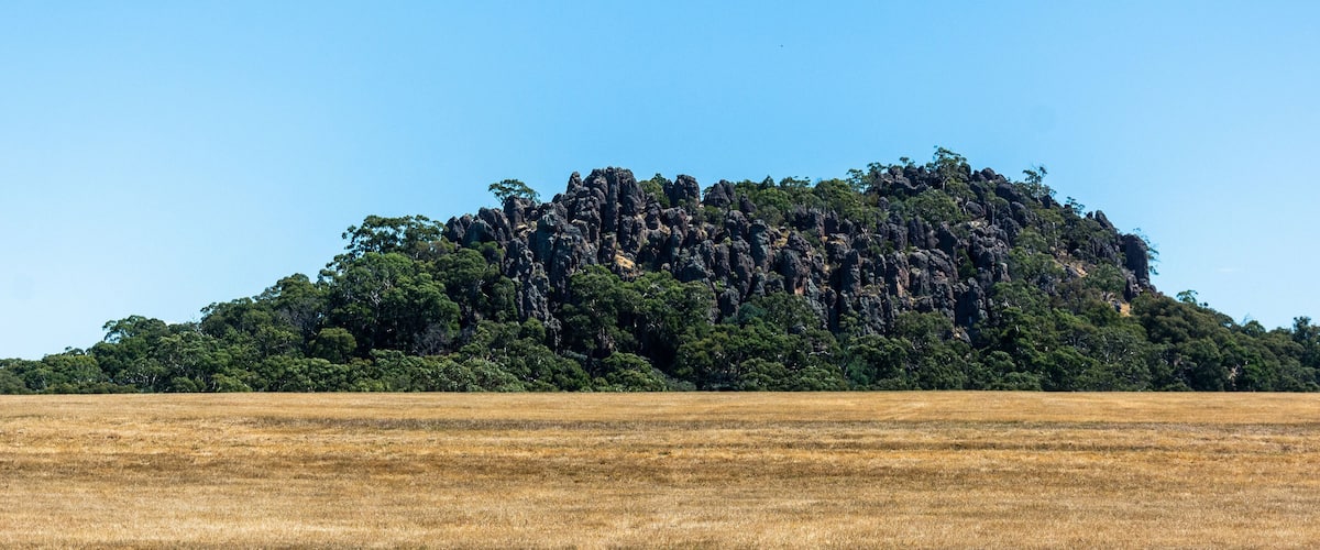 A large hill with dense forest and a dry grass field in the foreground.