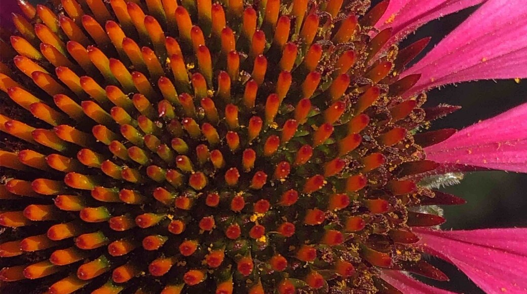 It depends on your #perspective on life.