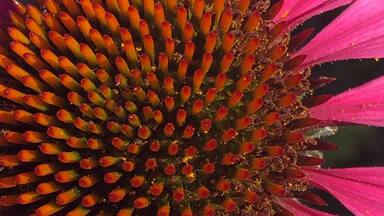 It depends on your #perspective on life.