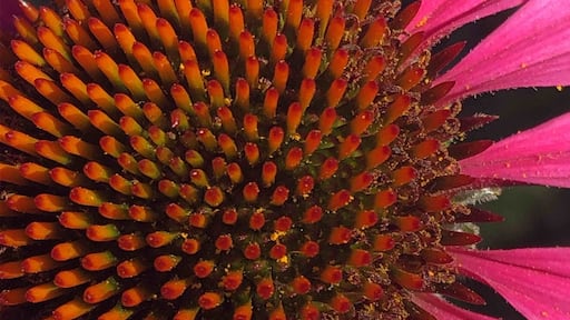 It depends on your #perspective on life.