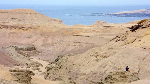 Atacama featuring tranquil scenes, rocky coastline and desert views