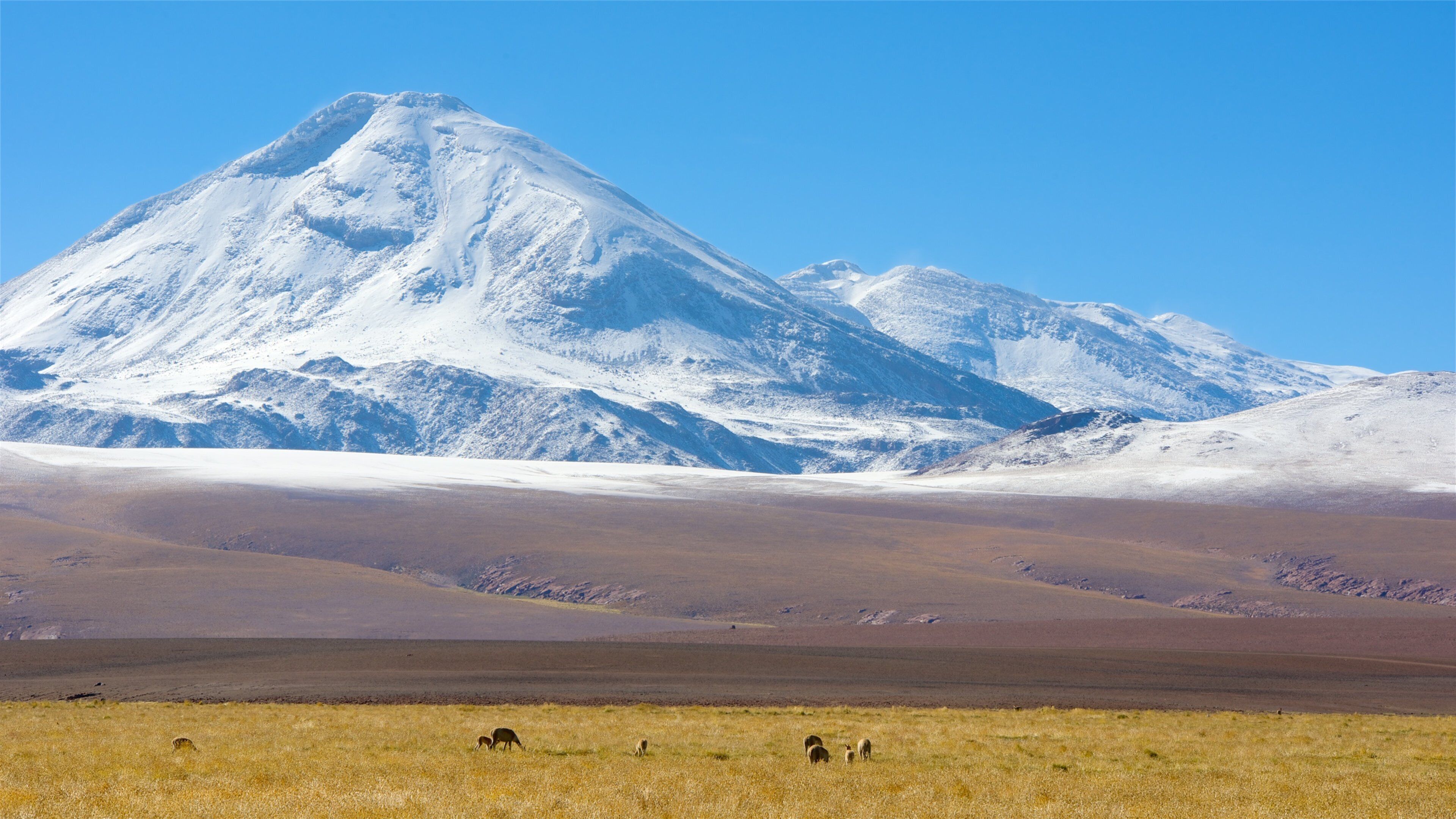 Una cordillera nevada con un valle llano en primer plano.