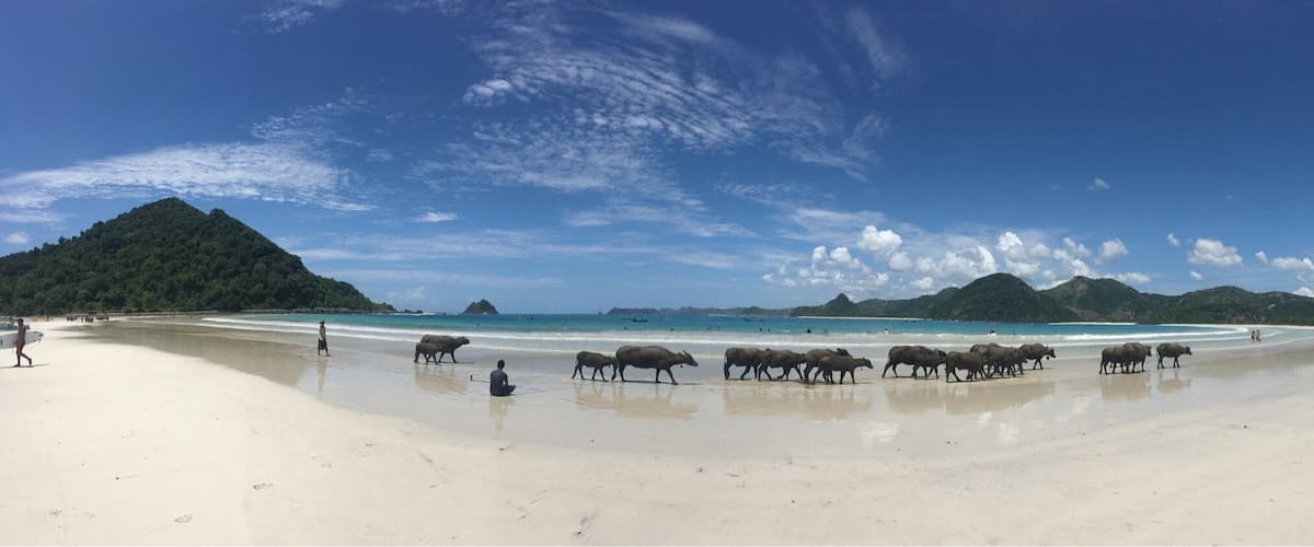 Surfing session, small waves and a beautiful beach