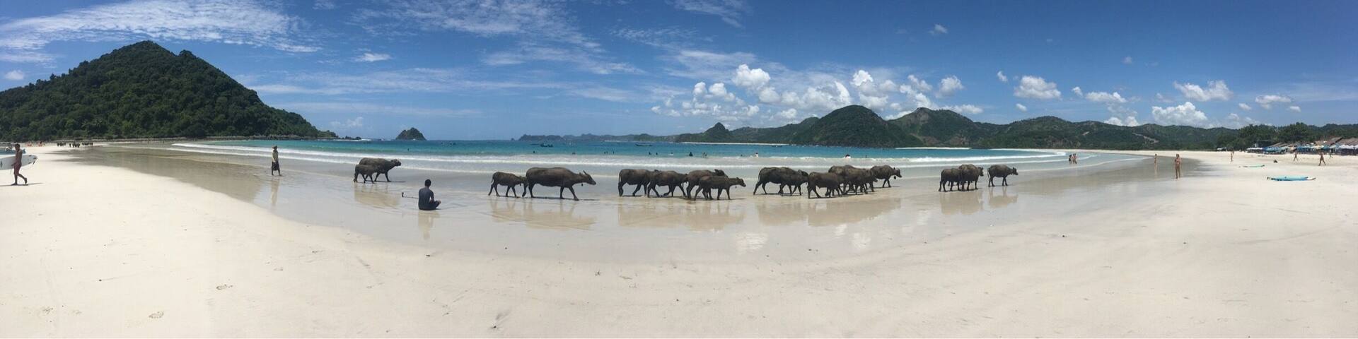 Surfing session, small waves and a beautiful beach