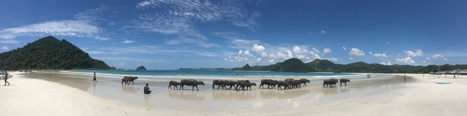 Surfing session, small waves and a beautiful beach