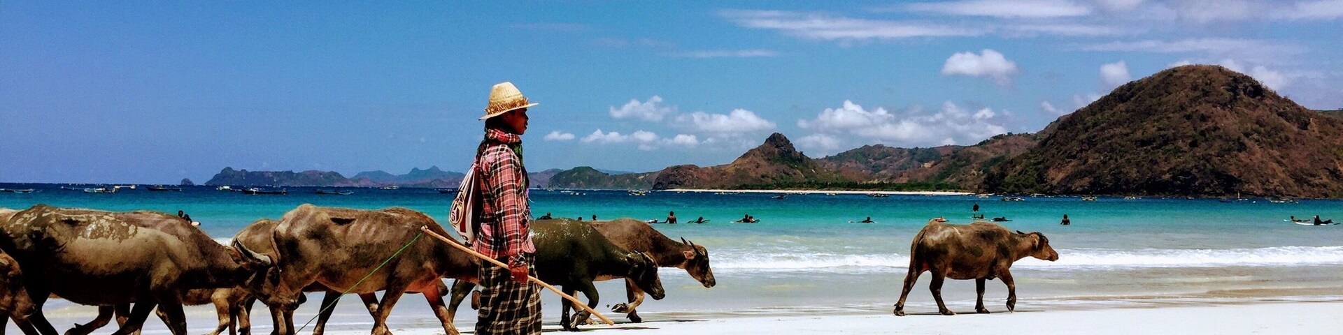Selong Belanak Beach, Lombok, Indonesia.
Pantai Selong Belanak is a stunning beach close to Kuta in Lombok. The sand is pristine and the water a beautiful colour and is perfect for swimming and beginner surfers (surf lessons & board hire are available on the beach). If your lucky you can see the buffalo herder (Buffalo Soldier as he is known locally) taking them for a stroll down the beach. One of our favourite spots in Lombok. #LifeAtExpedia #packsandaplan