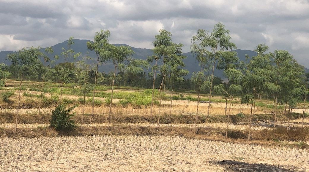 Driving past some of the mountain sides on my way to Senggigi! I have visited during the time of a big drought, still beautiful ❤️