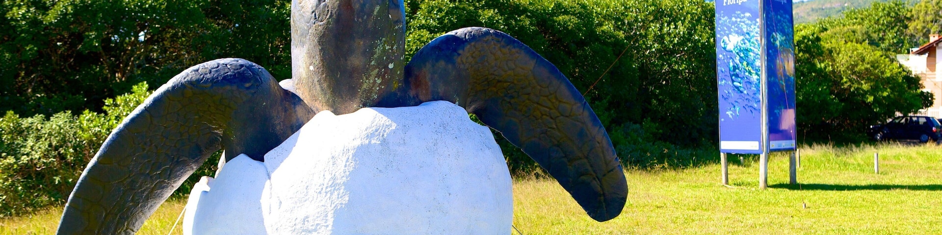 Barra da Lagoa showing outdoor art