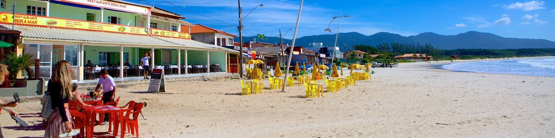 Barra da Lagoa Beach showing a sandy beach and landscape views