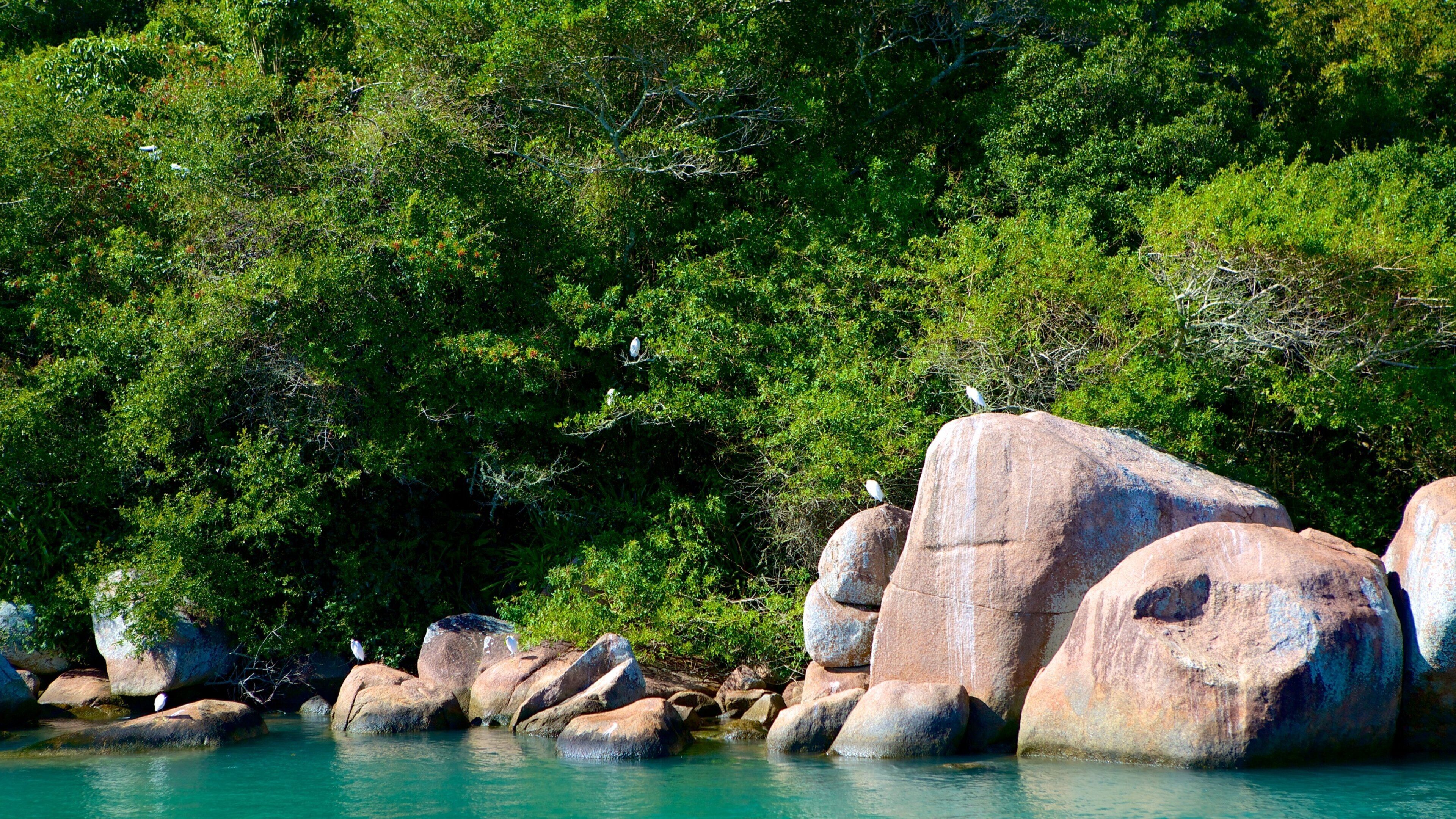 Playa Barra da Lagoa que incluye litoral accidentado