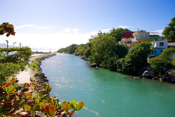 A river with a rocky shoreline, surrounded by lush greenery and colorful buildings.