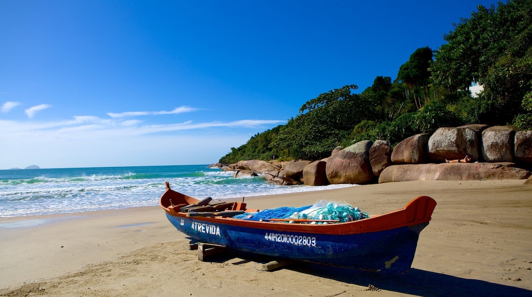 Barra da Lagoa-strand inclusief varen, landschappen en een zandstrand