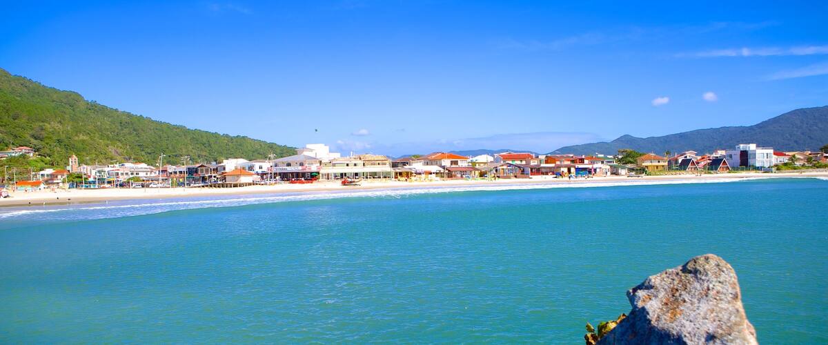 Barra da Lagoa Beach showing general coastal views and a coastal town