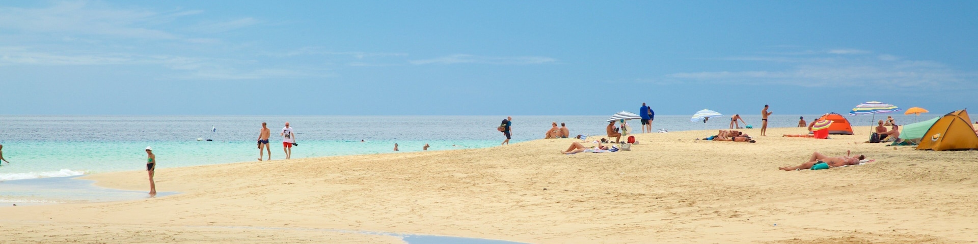 Jandia Beach which includes general coastal views and a beach