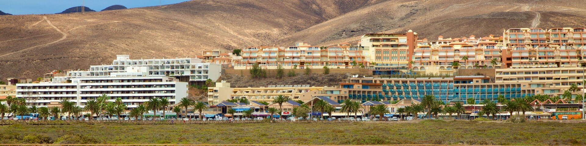 Playa de Jandía ofreciendo una playa, un lago o espejo de agua y una ciudad