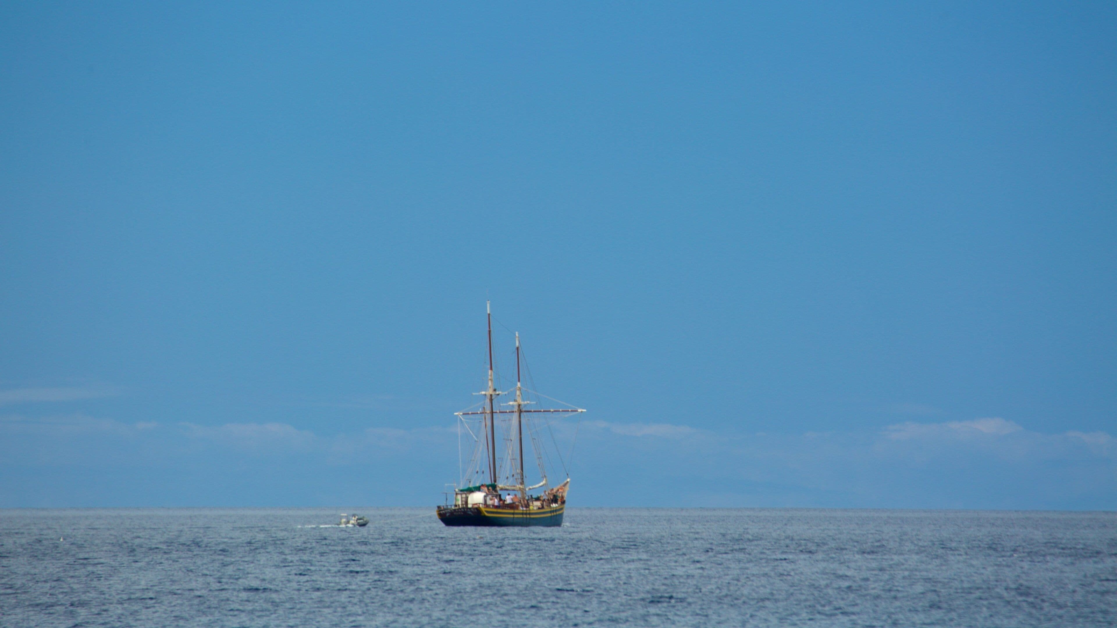 Las Gaviotas beach showing general coastal views and boating