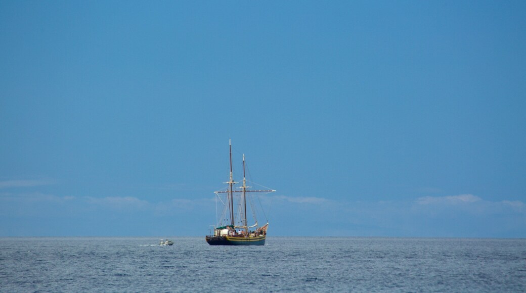 Las Gaviotas beach showing general coastal views and boating