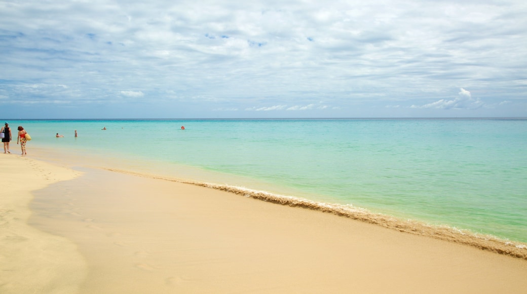 Playa de Jandia che include spiaggia e vista della costa