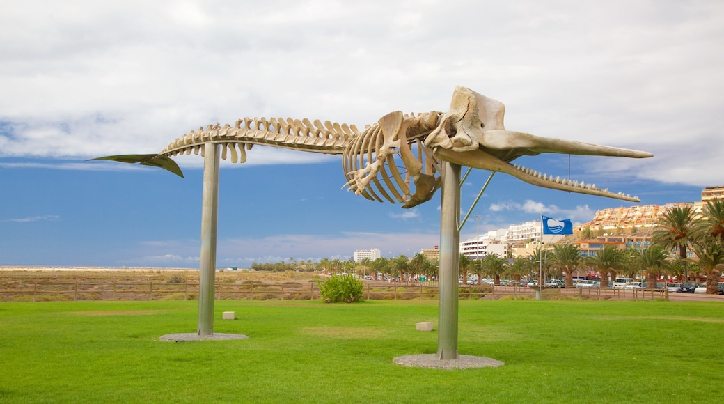 Playa de Jandía que incluye un jardín