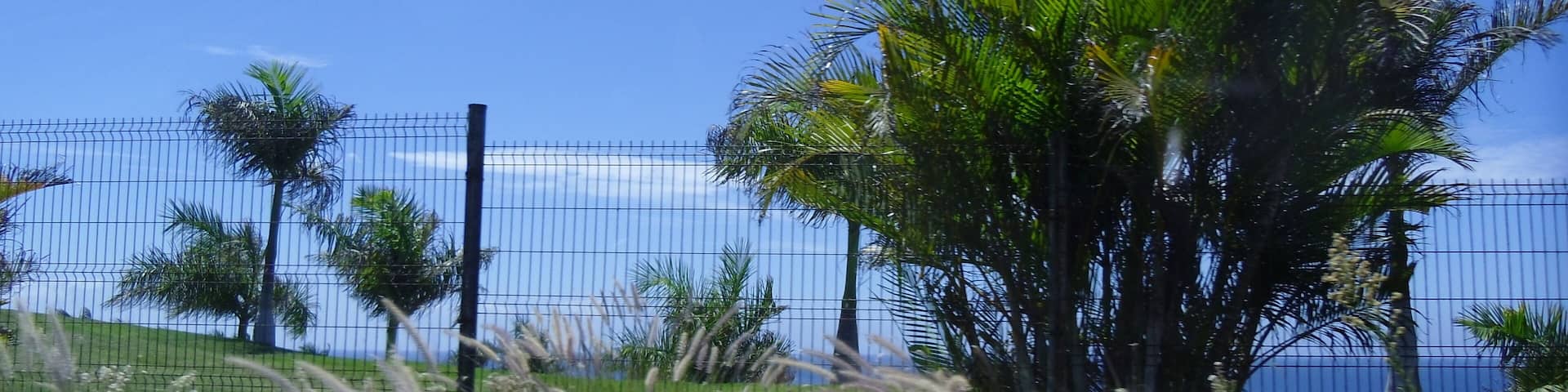 San Bartolomé de Tirajana, Las Palmas, Spain