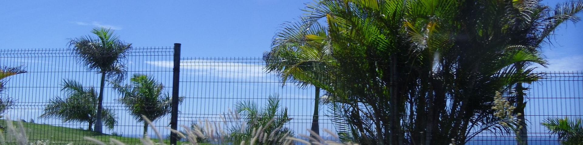 San Bartolomé de Tirajana, Las Palmas, Spain