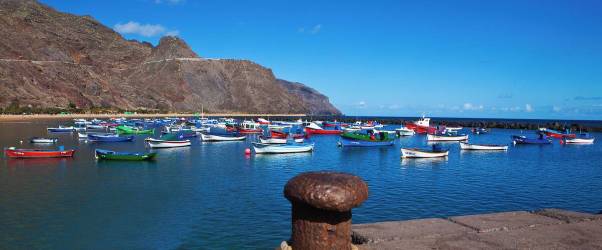 Un puerto con numerosos barcos coloridos amarrados cerca de una costa rocosa.