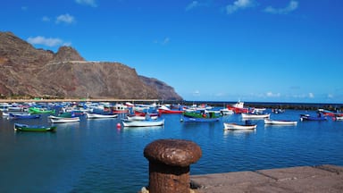 Un puerto con numerosos barcos coloridos amarrados cerca de una costa rocosa.