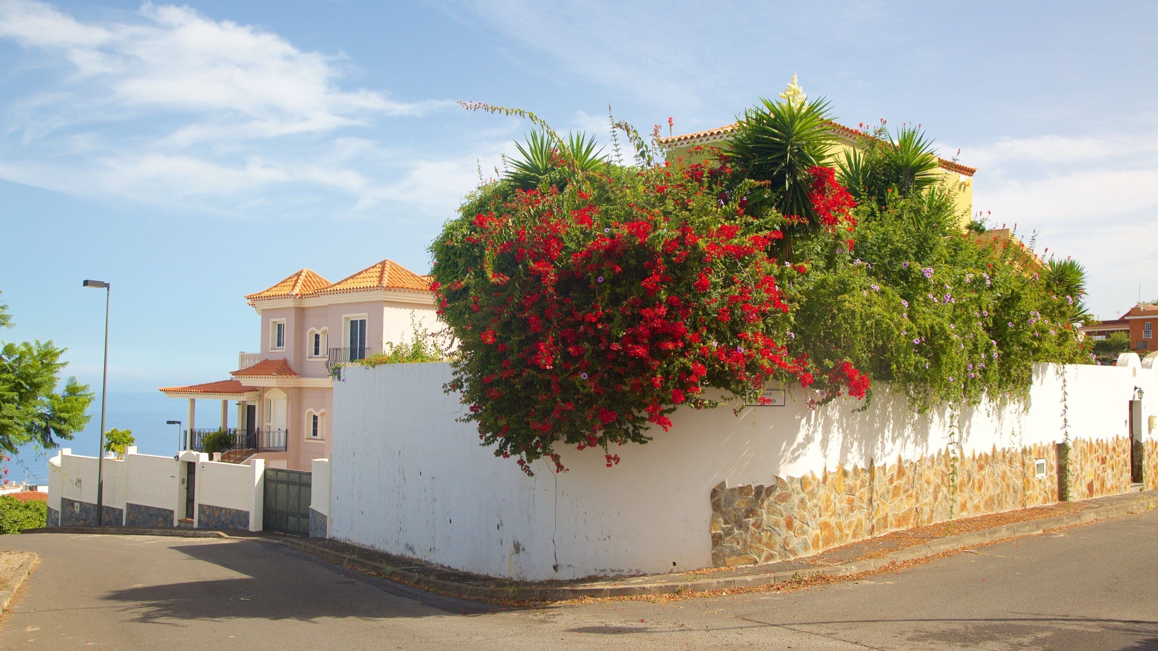 Sauzal ซึ่งรวมถึง ดอกไม้ และ บ้าน