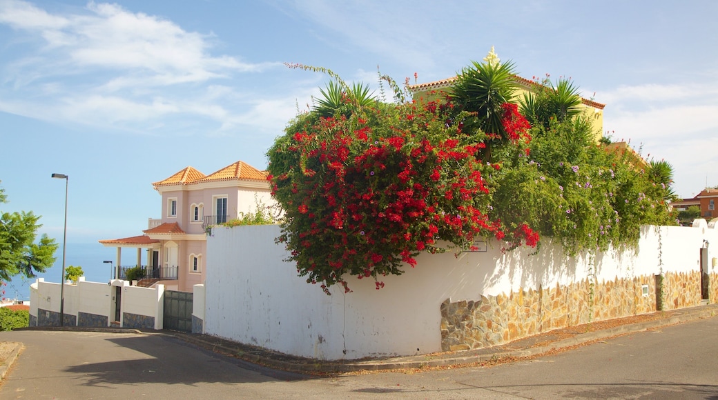 Sauzal som viser blomster og hus