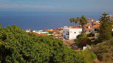 Sauzal que incluye vistas de una costa y una localidad costera