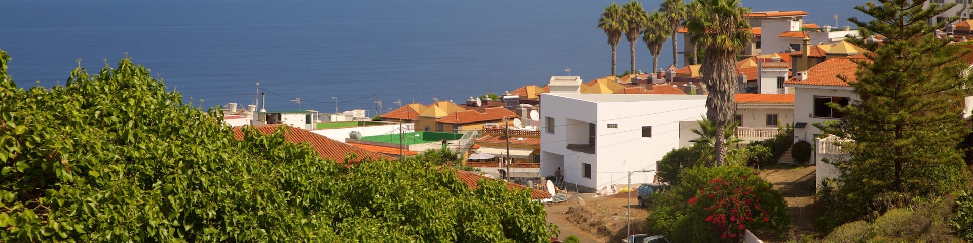 Sauzal mostrando uma cidade litorânea e paisagens litorâneas