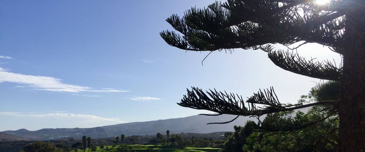 A golf course with a mountain in the background.