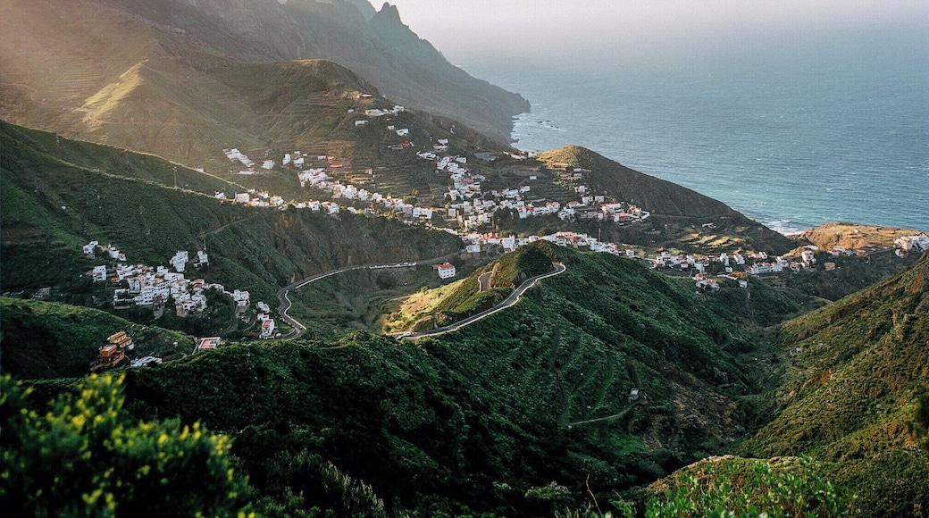 120mm Kodak Portra 160.
#BVStrover
#BVStrove