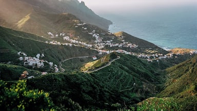 Un pueblo costero situado en un valle con campos en terrazas y un camino serpenteante que lleva al mar.