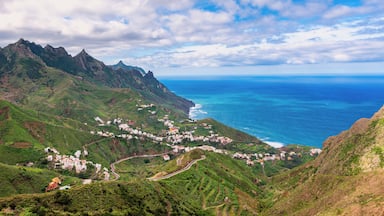 A coastal village nestled in green hills with a view of the ocean.
