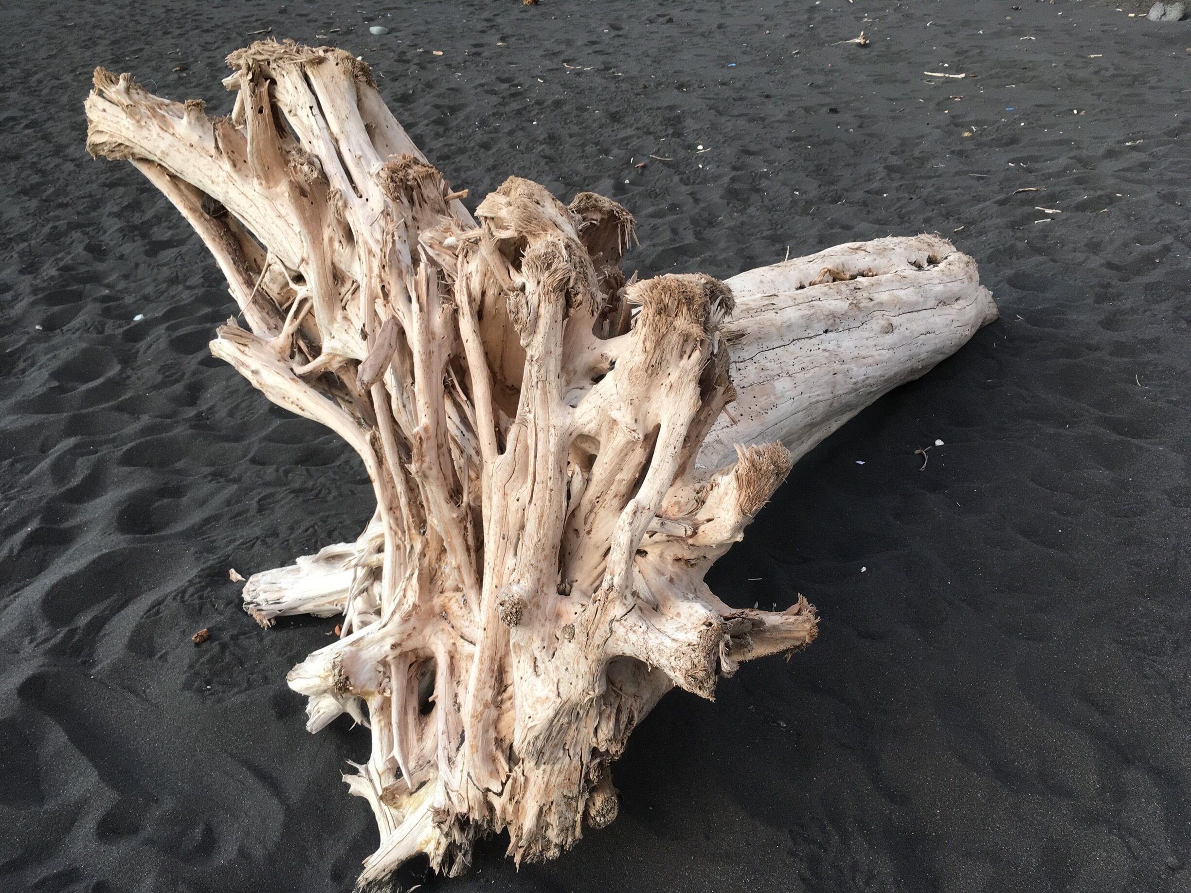 Old and abandoned but beautiful.