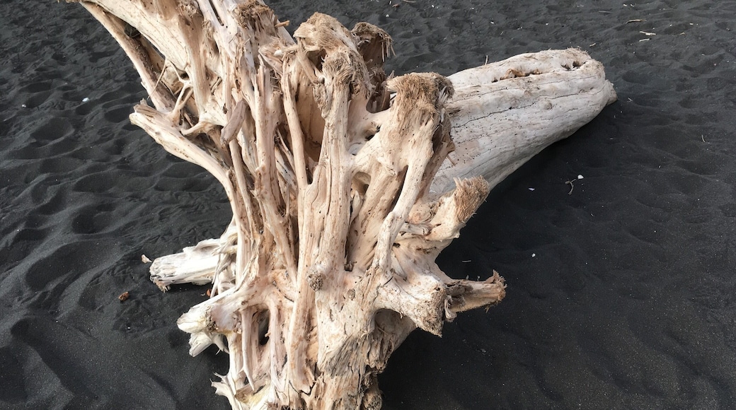 Old and abandoned but beautiful.