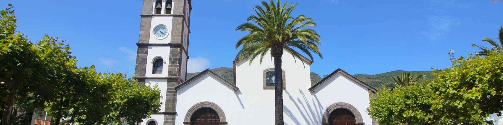 A church with a clock tower, palm trees, and a clear blue sky.