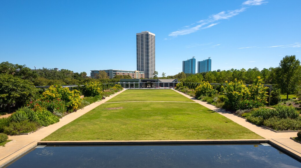 Woodlands Town Center